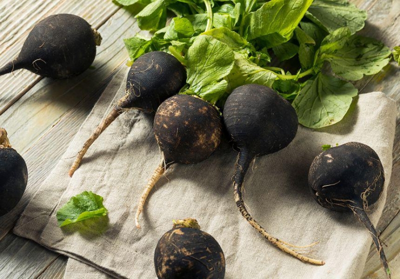 Продукт недели: черная редька