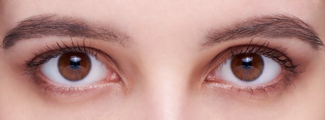 Тіні Maybelline New York: огляд та відгуки